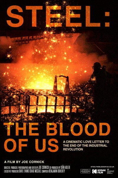 Póster de Steel: The Blood of Us