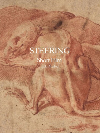 Póster de Steering