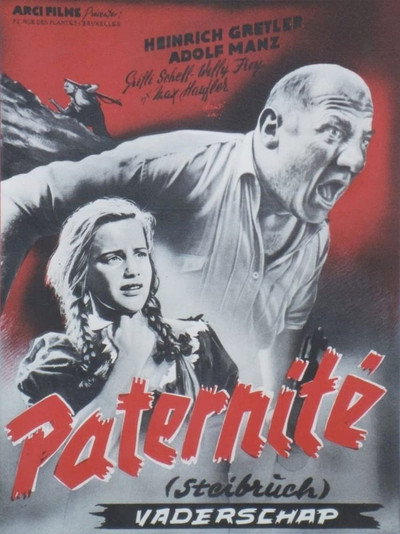 Póster de Steibruch