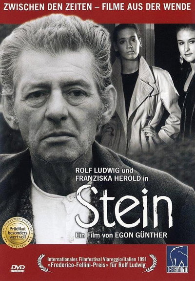 Póster de Stein