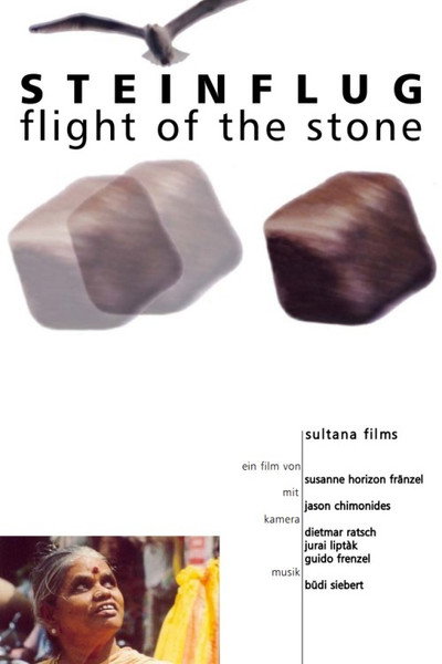 Póster de Steinflug