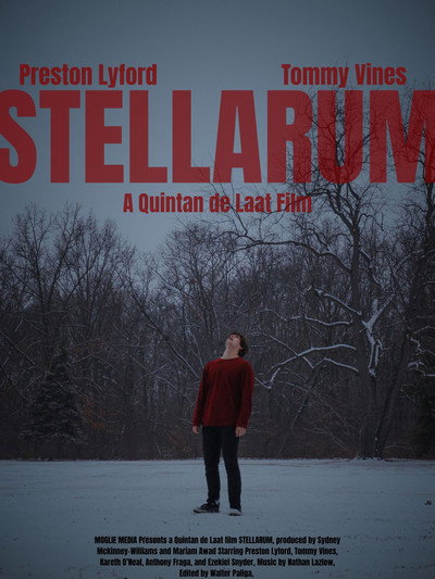 Póster de Stellarum