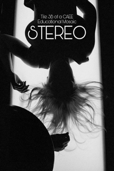 Póster de Stereo