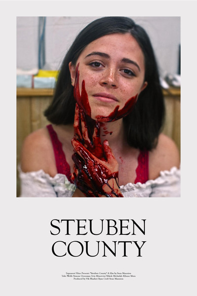 Póster de Steuben County
