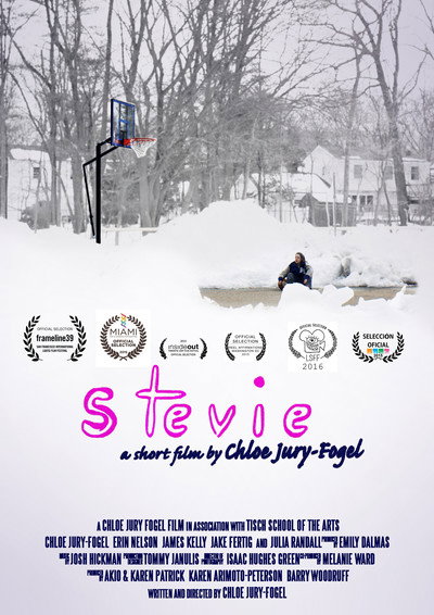 Póster de Stevie