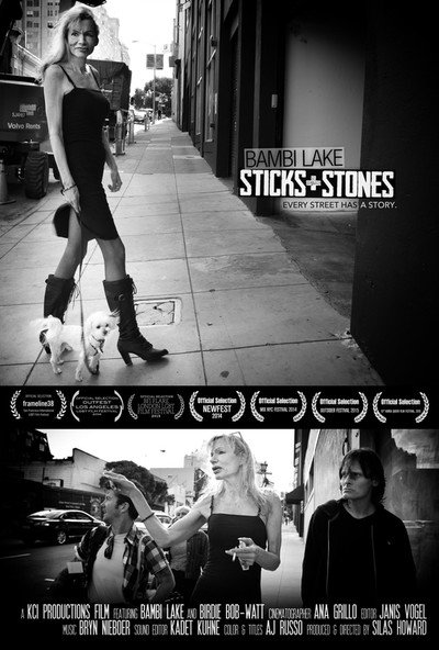 Póster de Sticks & Stones