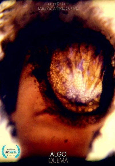 Póster de Still Burn