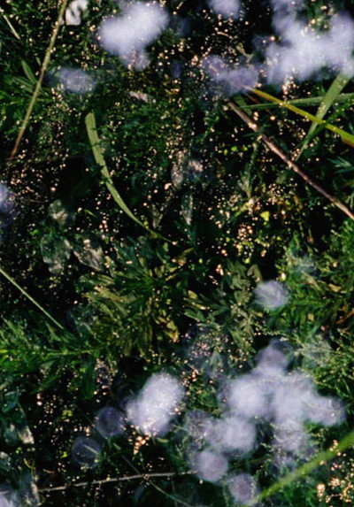 Póster de Still in Cosmos