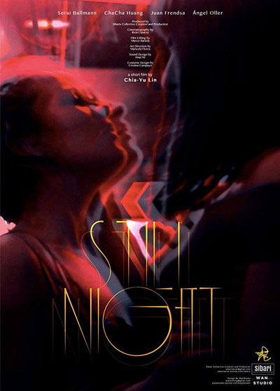 Póster de Still night