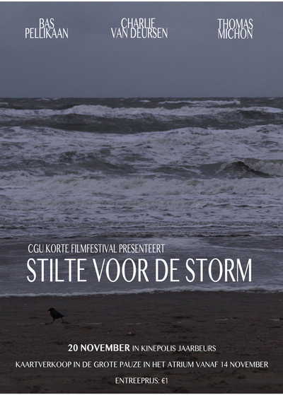 Póster de Stilte voor de storm