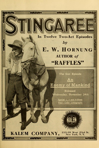 Póster de Stingaree