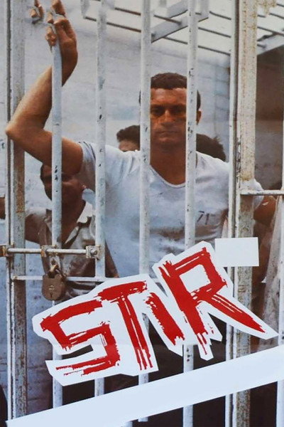 Póster de Stir