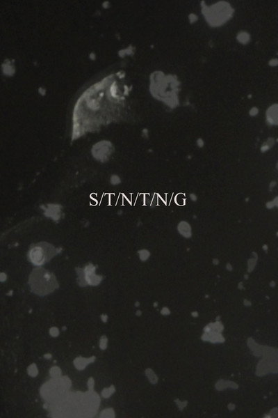 Póster de S/T/N/T/N/G