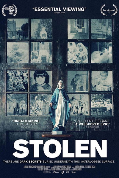 Póster de Stolen