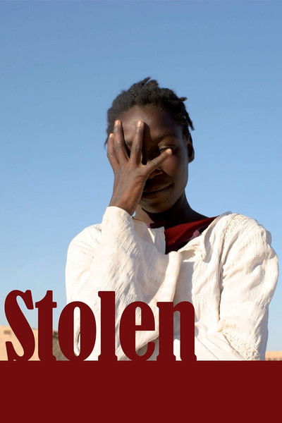 Póster de Stolen
