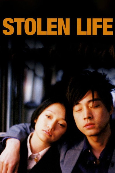 Póster de Stolen Life