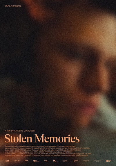 Póster de Stolen Memories