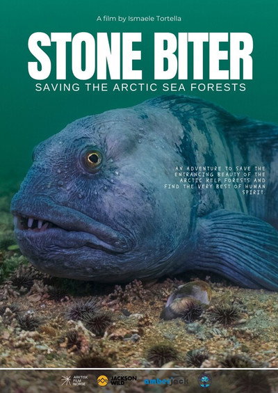 Póster de Stone Biter - Saving the Arctic Sea Forests