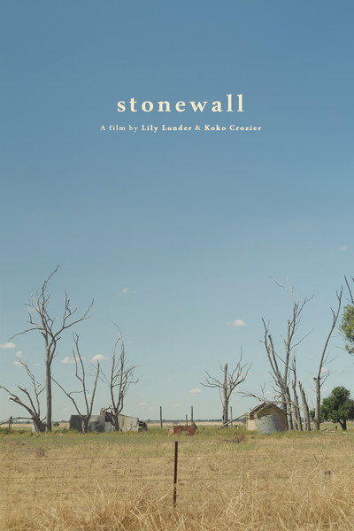 Póster de stonewall