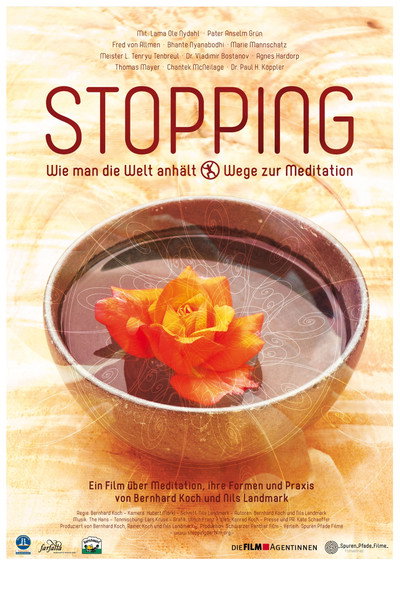 Póster de Stopping