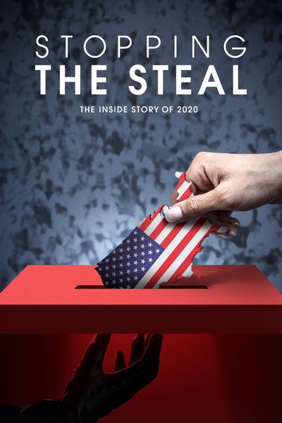 Póster de Stopping the Steal