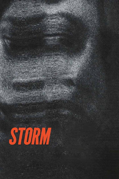Póster de Storm