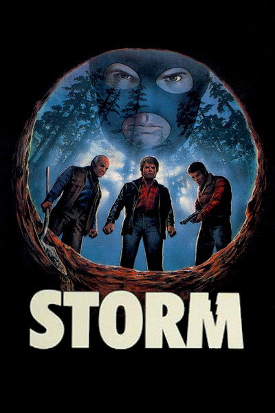 Póster de Storm