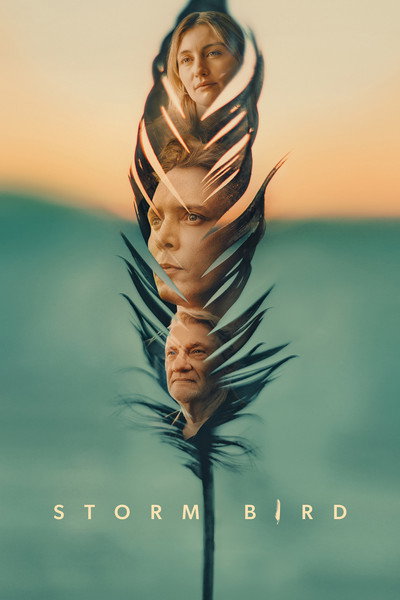 Póster de Storm Bird
