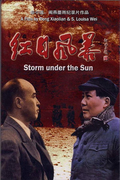 Póster de Storm Under the Sun