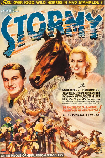 Póster de Stormy