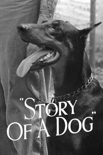 Póster de Story of a Dog