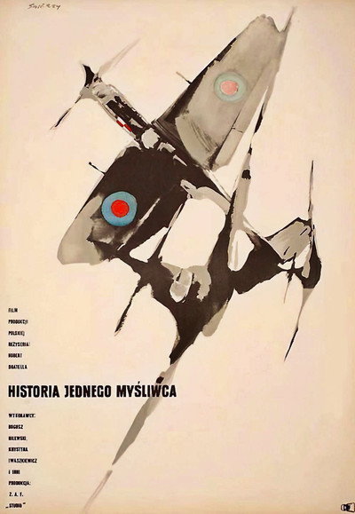 Póster de Story of One Fighter
