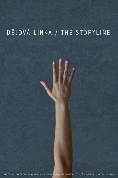 Póster de Storyline