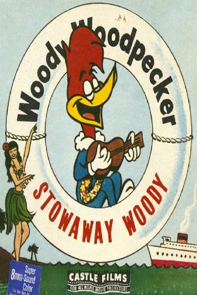 Póster de Stowaway Woody