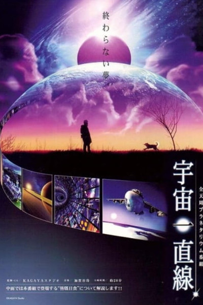 Póster de Straight Into the Universe