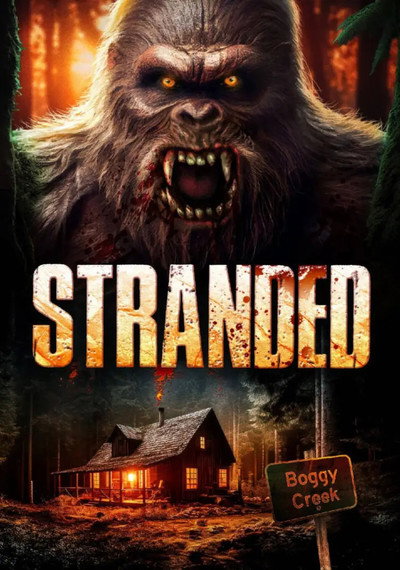 Póster de Stranded