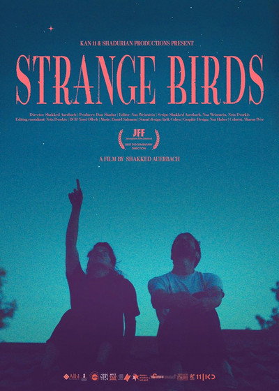 Póster de Strange Birds