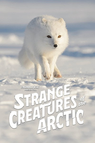 Póster de Strange Creatures of the Arctic
