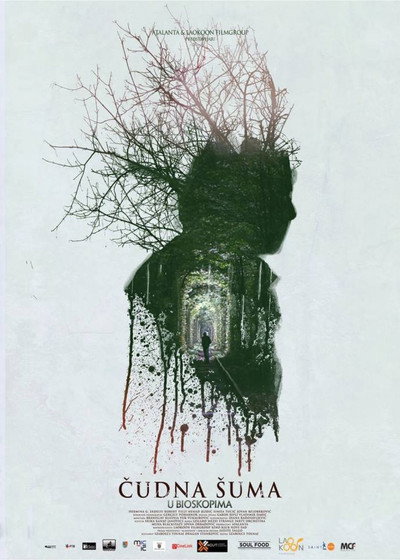 Póster de Strange Forest