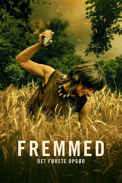 Póster de Stranger