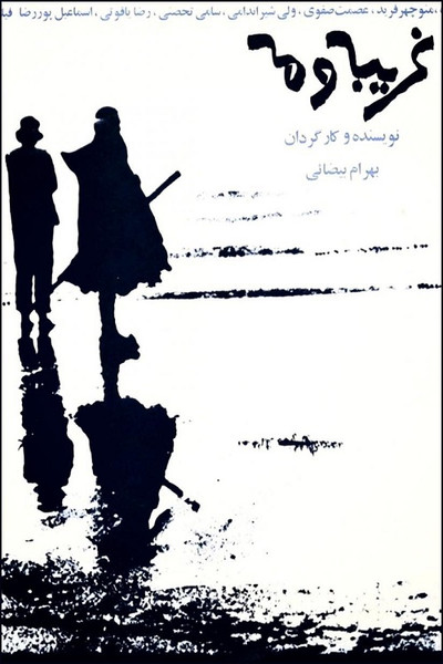 Póster de Stranger and the Fog