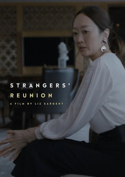 Póster de Strangers' Reunion