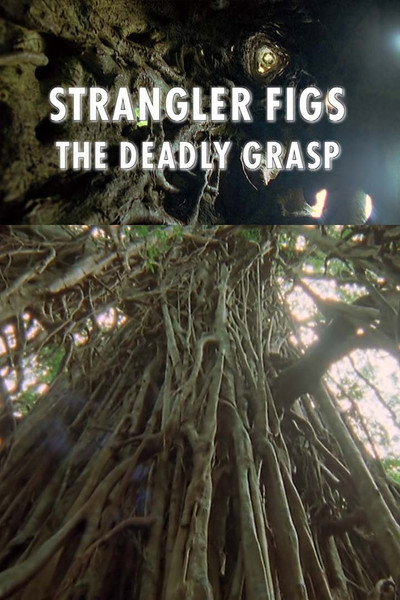 Póster de Strangler Figs: The Deadly Grasp