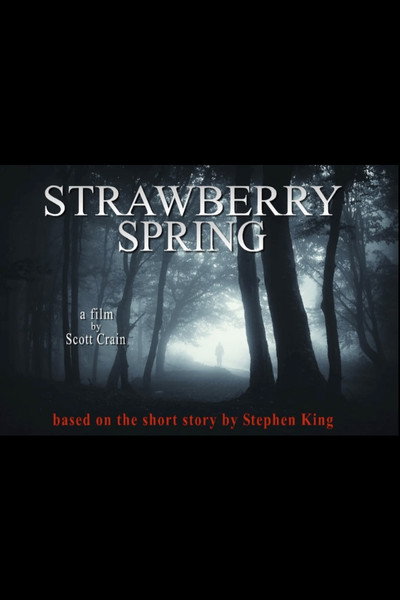 Póster de Strawberry Spring
