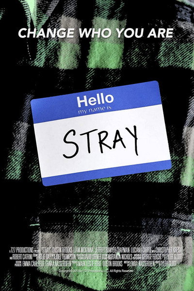 Póster de Stray