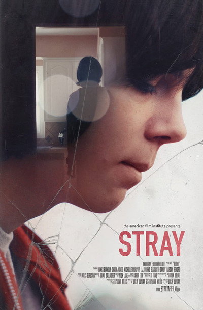 Póster de Stray