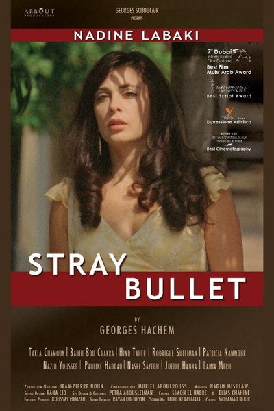 Póster de Stray Bullet
