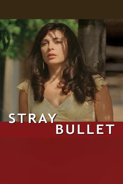 Póster de Stray Bullet