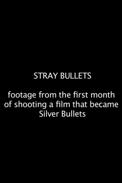 Póster de Stray Bullets