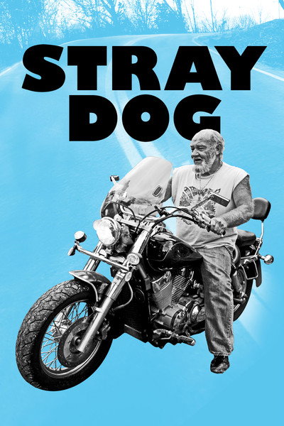 Póster de Stray Dog